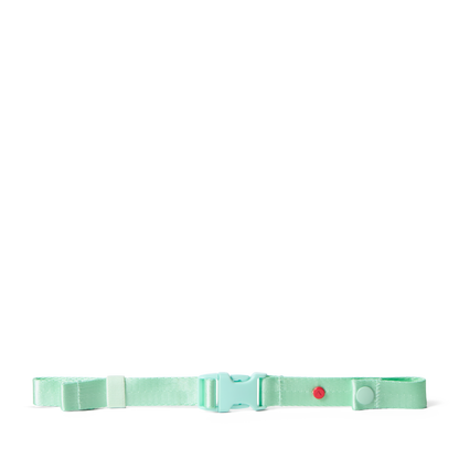 STATE Bags Detachable Chest Strap Mint Front View Click to Zoom